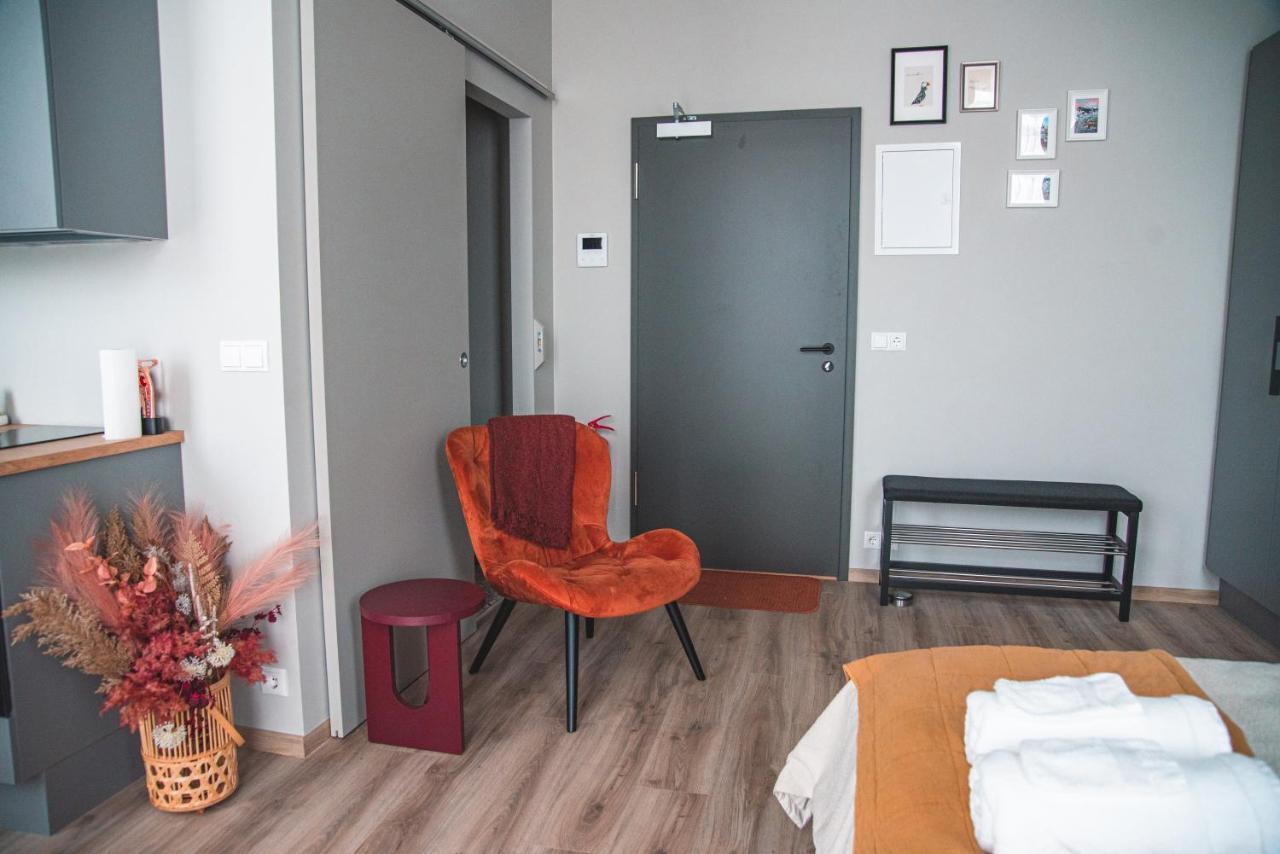 Cozy Studio By The City Centre Apartment Reykjavik Luaran gambar