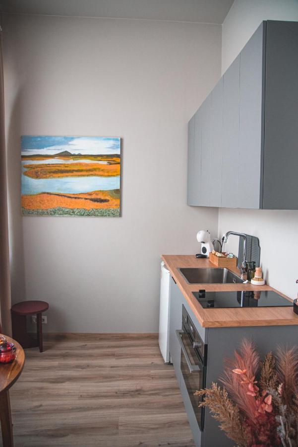 Cozy Studio By The City Centre Apartment Reykjavik Luaran gambar