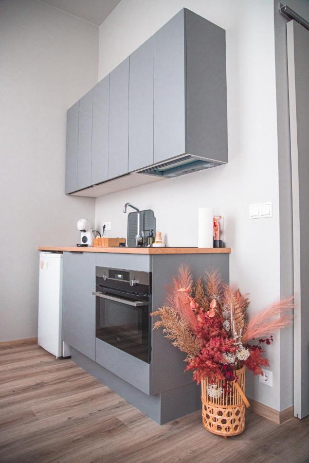 Cozy Studio By The City Centre Apartment Reykjavik Luaran gambar